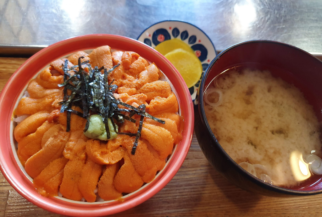 Sea Urchin Rice Bowl Hokkaido Food Japan